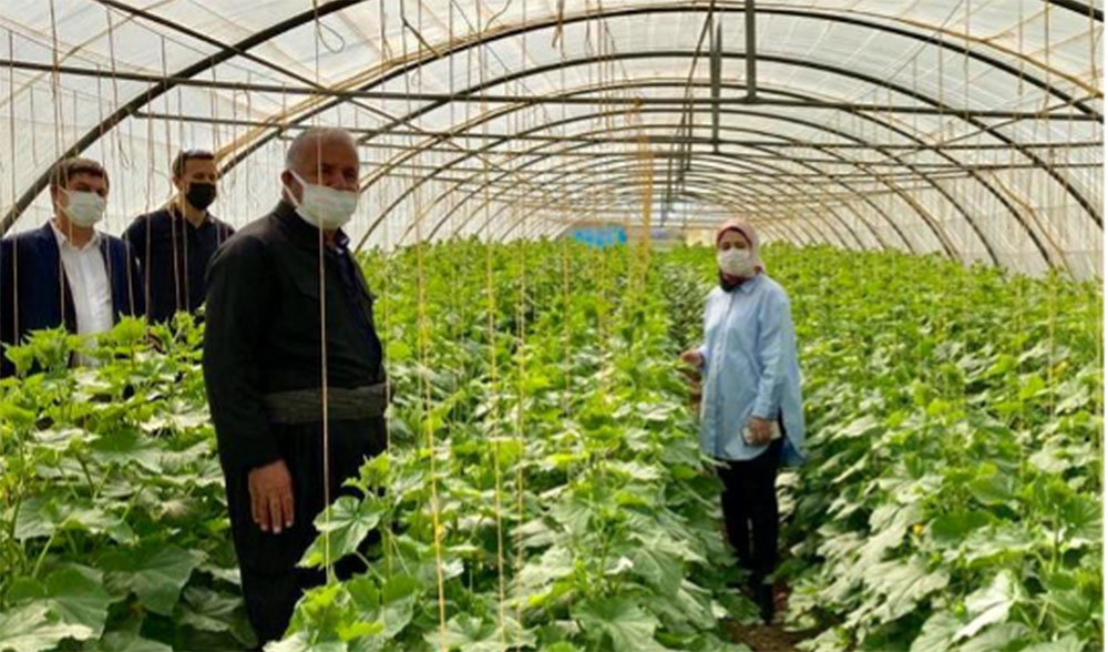 الوحدة الثانية: لماذا ريادة الأعمال